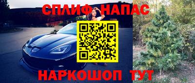 первитин Гатчина