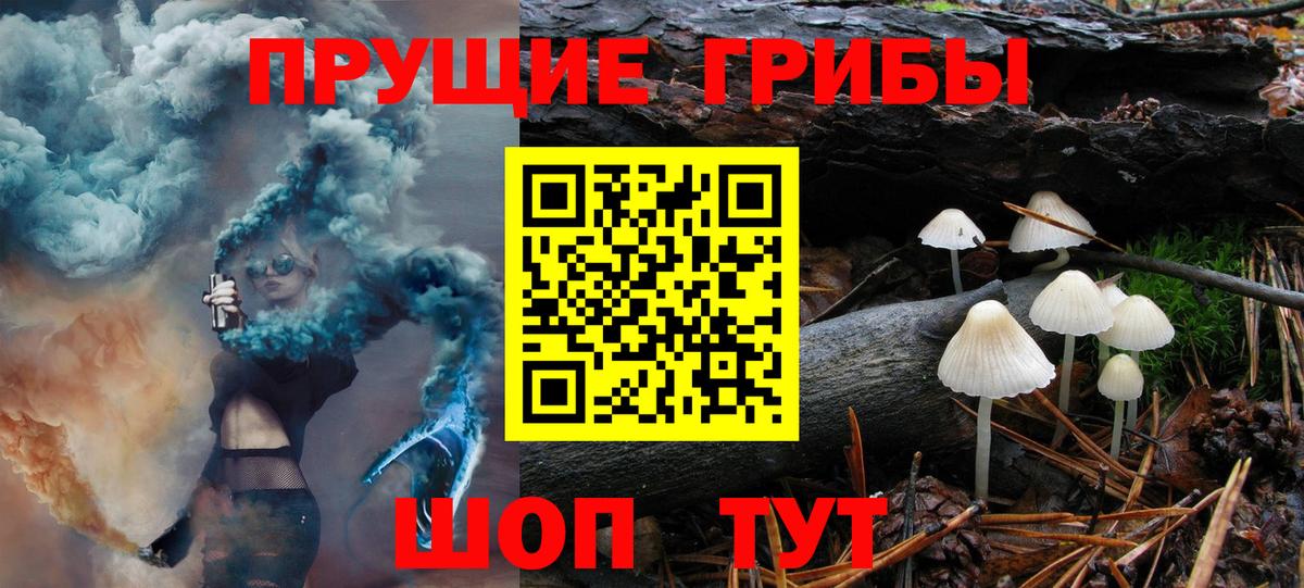 Псилоцибиновые грибы MAGIC MUSHROOMS Пугачёв