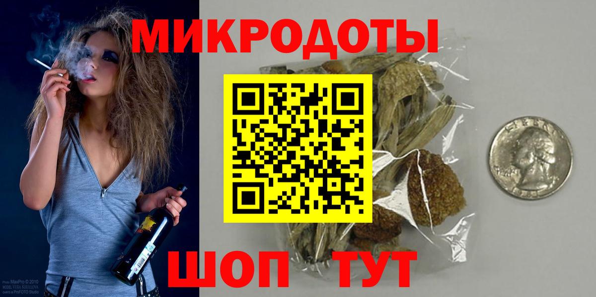 Пугачёв  Галлюциногенные грибы Psilocybe  Вход с VPN 